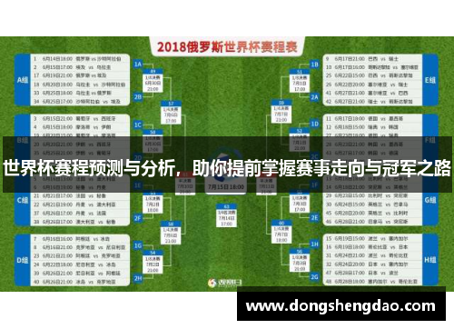 世界杯赛程预测与分析，助你提前掌握赛事走向与冠军之路