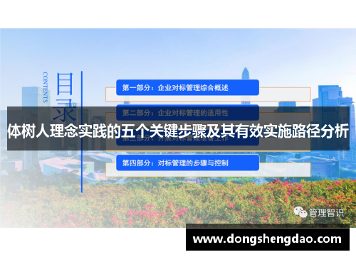 体树人理念实践的五个关键步骤及其有效实施路径分析