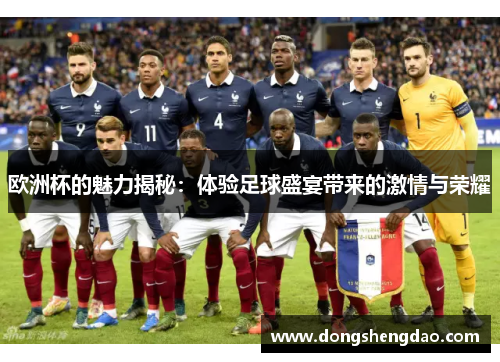 欧洲杯的魅力揭秘：体验足球盛宴带来的激情与荣耀