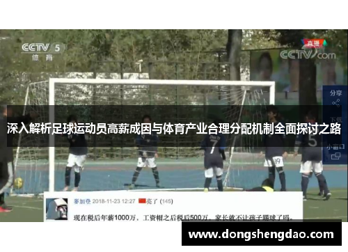 深入解析足球运动员高薪成因与体育产业合理分配机制全面探讨之路